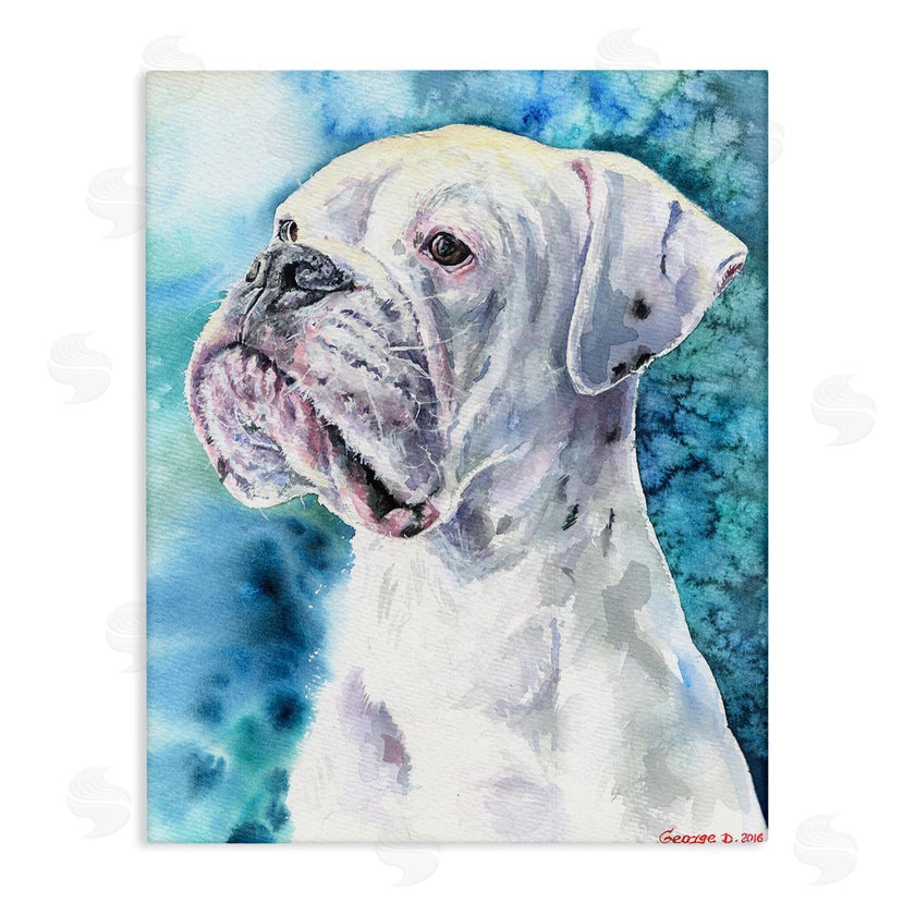 George Dyachenko | White Boxer Gaze Pet Dog over Blue