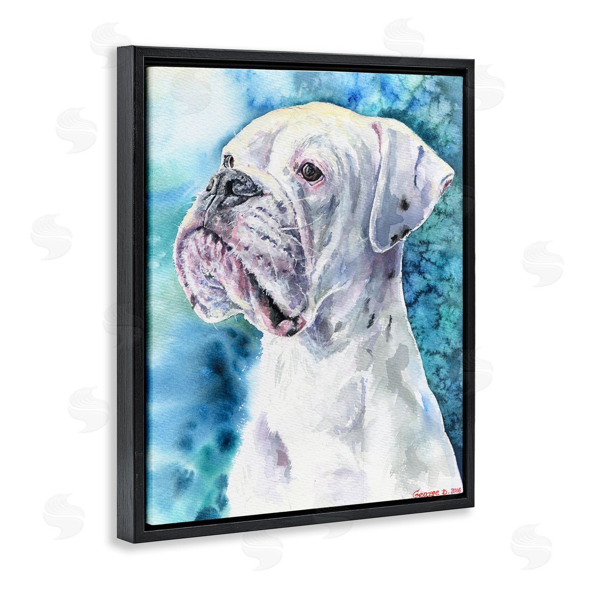 George Dyachenko White Boxer Gaze Pet Dog over Blue Black Floater Frame Canvas Art