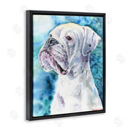 George Dyachenko | White Boxer Gaze Pet Dog over Blue