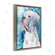 George Dyachenko | White Boxer Gaze Pet Dog over Blue
