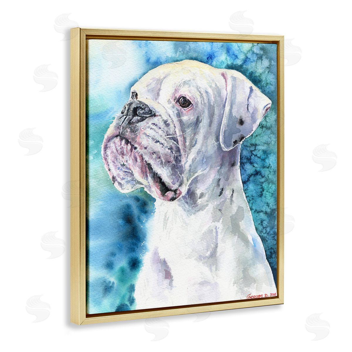 George Dyachenko White Boxer Gaze Pet Dog over Blue Gold Floater Frame Canvas Art