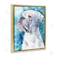 George Dyachenko | White Boxer Gaze Pet Dog over Blue