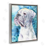 George Dyachenko | White Boxer Gaze Pet Dog over Blue