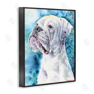 George Dyachenko | White Boxer Gaze Pet Dog over Blue