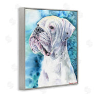 George Dyachenko | White Boxer Gaze Pet Dog over Blue