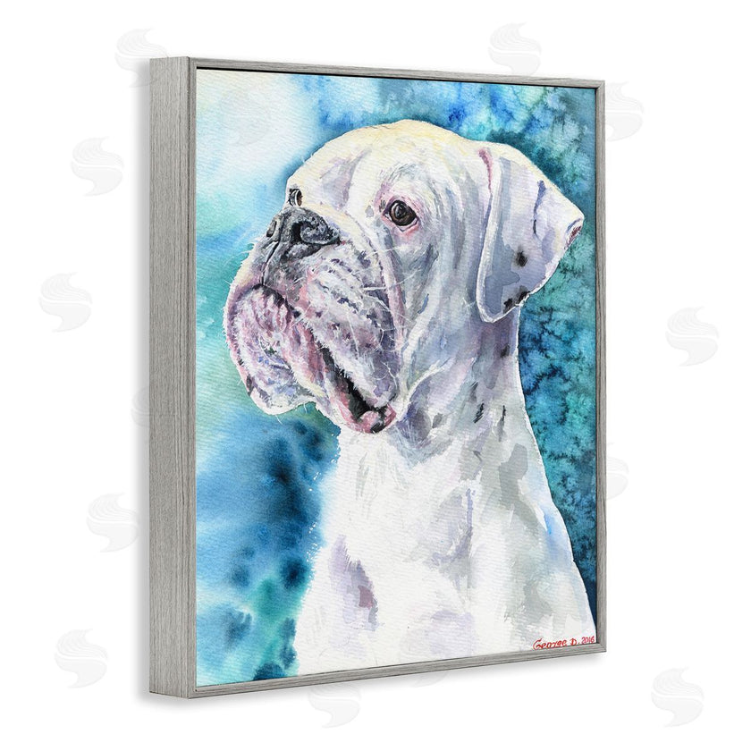 George Dyachenko | White Boxer Gaze Pet Dog over Blue