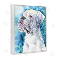 George Dyachenko | White Boxer Gaze Pet Dog over Blue