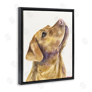 George Dyachenko | Yellow Lab Gazing Upwards Pet Dog Portrait