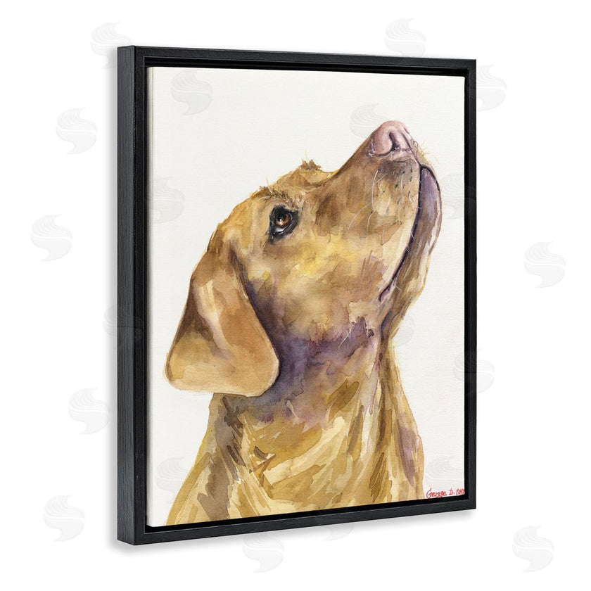 George Dyachenko | Yellow Lab Gazing Upwards Pet Dog Portrait