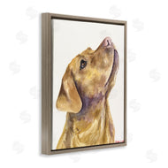 George Dyachenko | Yellow Lab Gazing Upwards Pet Dog Portrait