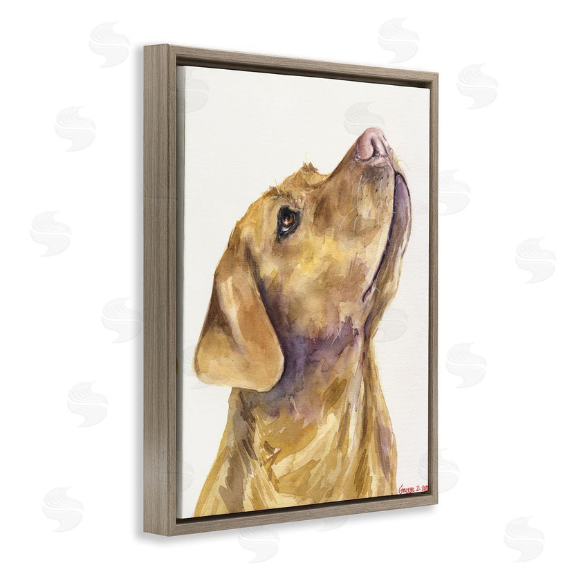 George Dyachenko | Yellow Lab Gazing Upwards Pet Dog Portrait