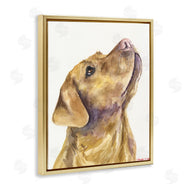 George Dyachenko | Yellow Lab Gazing Upwards Pet Dog Portrait