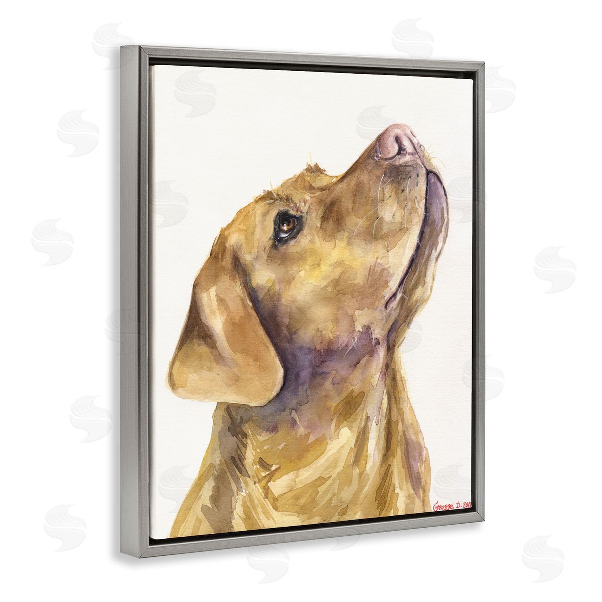 George Dyachenko Yellow Lab Gazing Upwards Pet Dog Portrait Gray Floater Frame Canvas Art