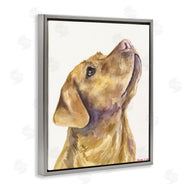 George Dyachenko | Yellow Lab Gazing Upwards Pet Dog Portrait
