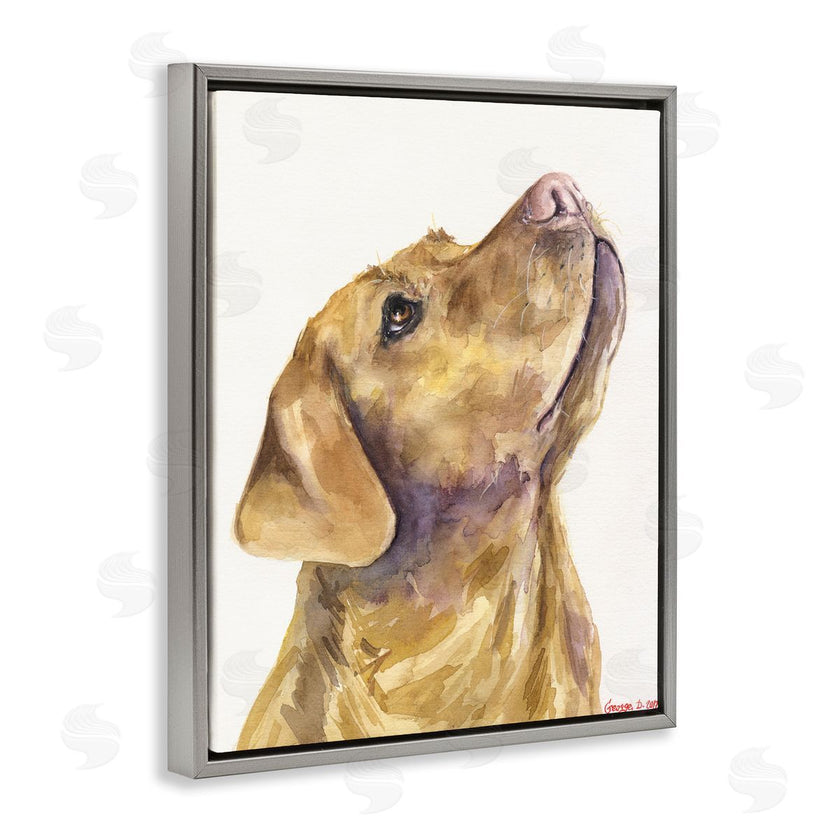 George Dyachenko | Yellow Lab Gazing Upwards Pet Dog Portrait