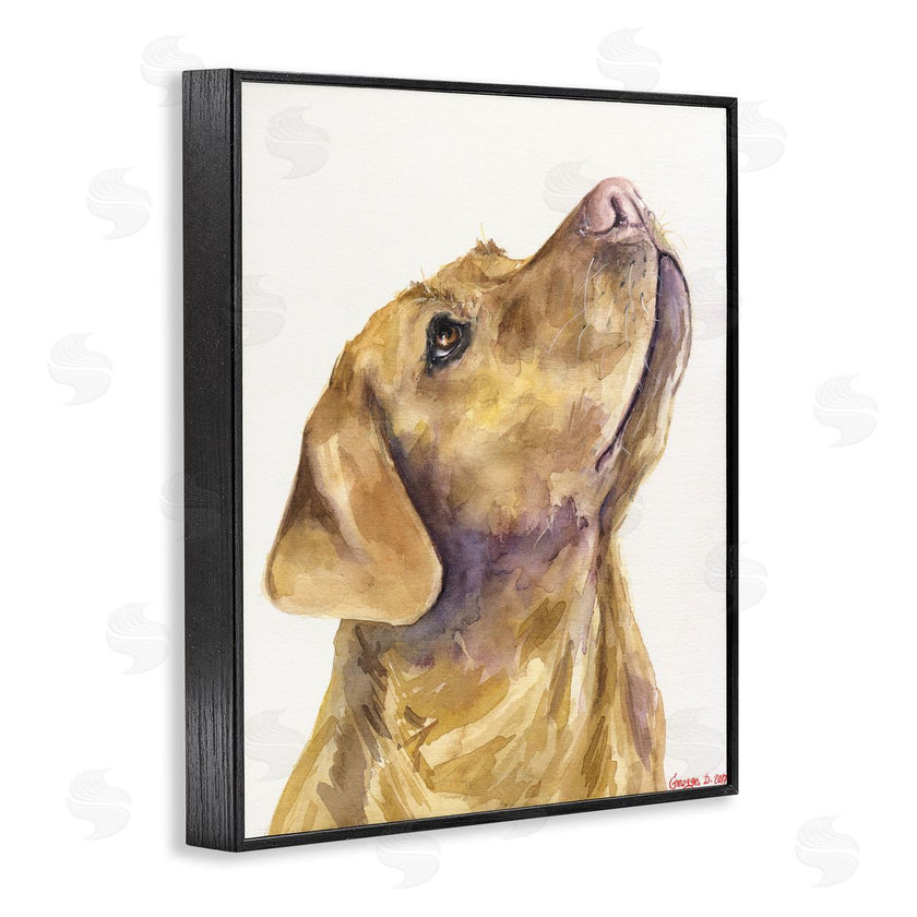 George Dyachenko | Yellow Lab Gazing Upwards Pet Dog Portrait