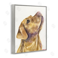 George Dyachenko | Yellow Lab Gazing Upwards Pet Dog Portrait