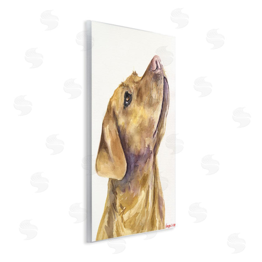 George Dyachenko | Yellow Lab Gazing Upwards Pet Dog Portrait