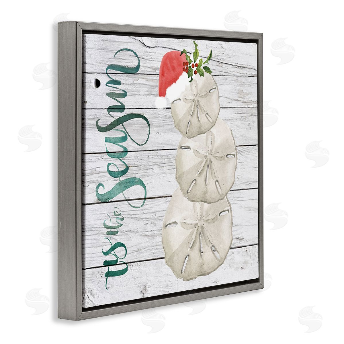Jennifer Paxton Parker Tis the Sea Sun Phrase Christmas Sand Dollars Gray Floater Frame Canvas Art