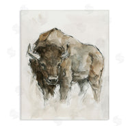 Ethan Harper | Western American Buffalo