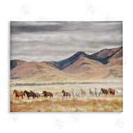 PH Burchett | Wild Horses Roaming Across Western Landscape