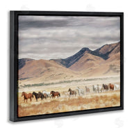 PH Burchett | Wild Horses Roaming Across Western Landscape