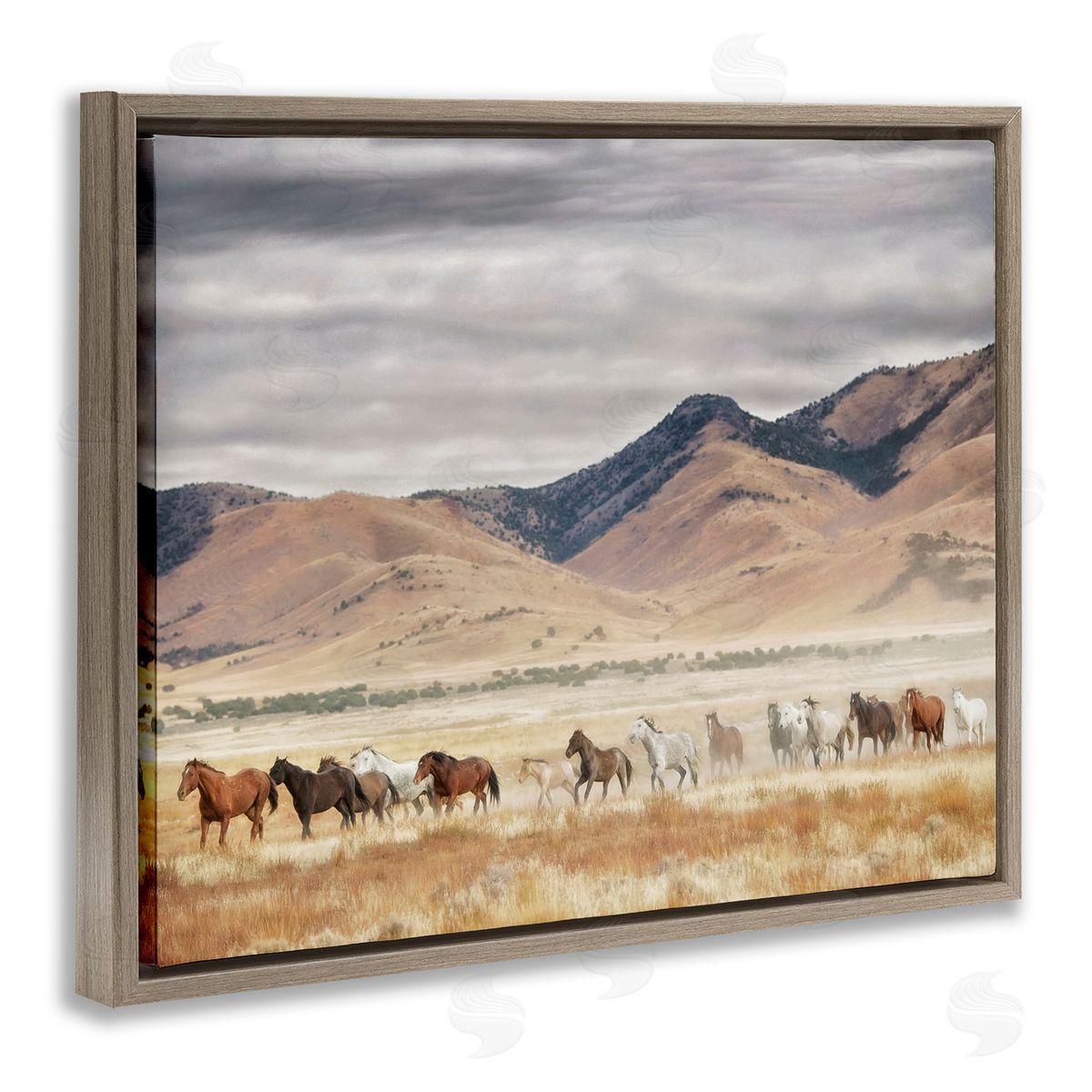 PH Burchett Wild Horses Roaming Across Western Landscape Brown Floater Frame Canvas Art