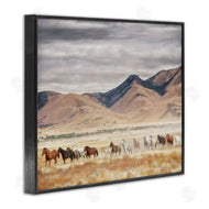 PH Burchett | Wild Horses Roaming Across Western Landscape