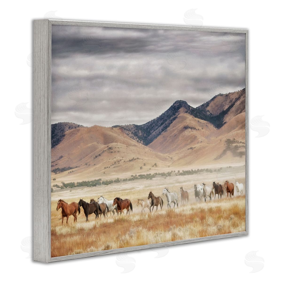 PH Burchett Wild Horses Roaming Across Western Landscape Gray Framed Giclee Wall Art