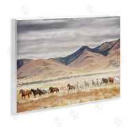 PH Burchett | Wild Horses Roaming Across Western Landscape