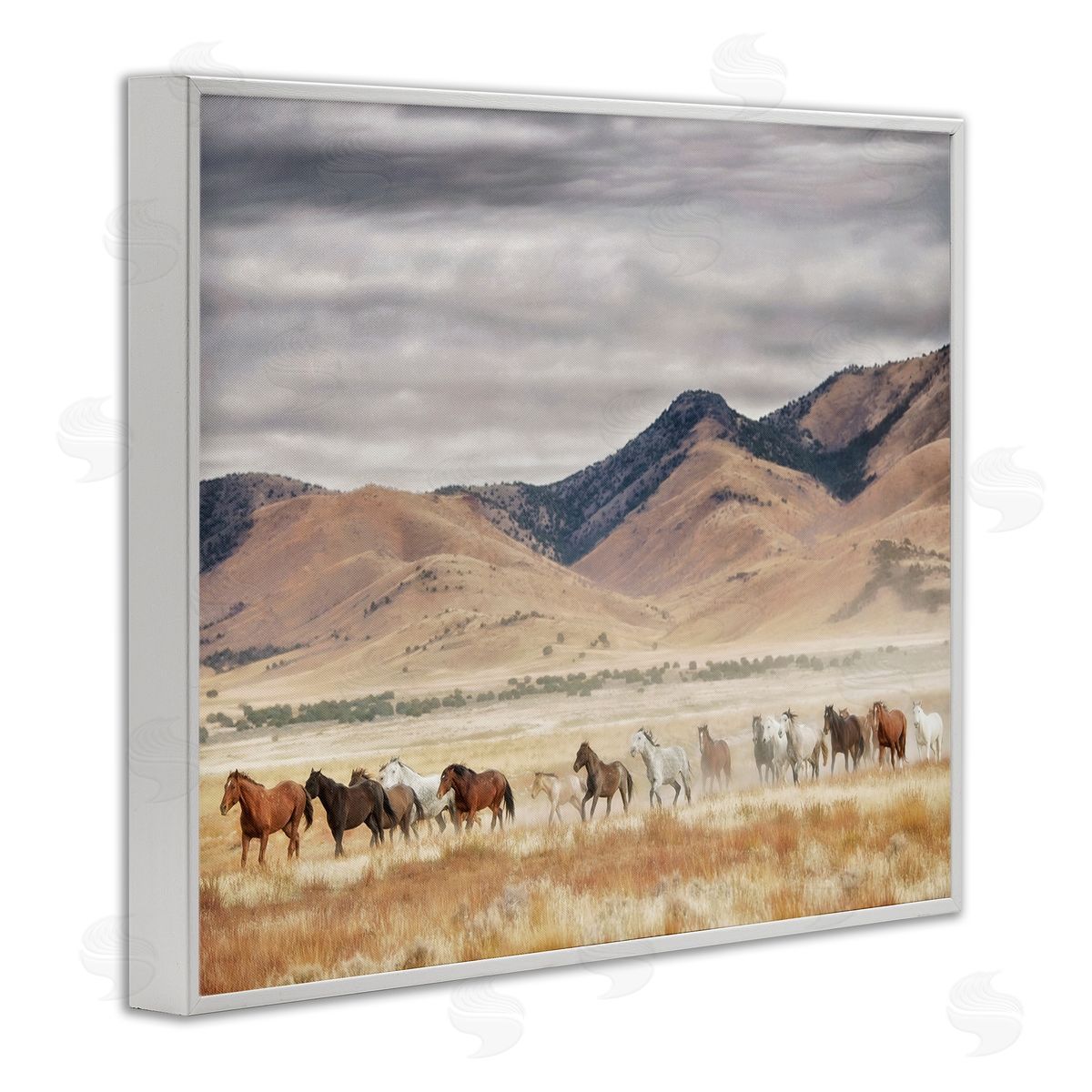PH Burchett Wild Horses Roaming Across Western Landscape White Framed Giclee Wall Art