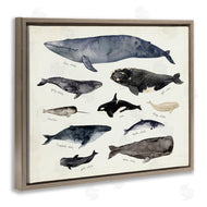 Victoria Barnes | Vintage Nautical Chart of Whales Ocean Life