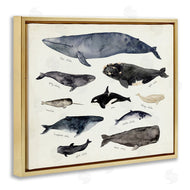 Victoria Barnes | Vintage Nautical Chart of Whales Ocean Life