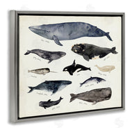 Victoria Barnes | Vintage Nautical Chart of Whales Ocean Life