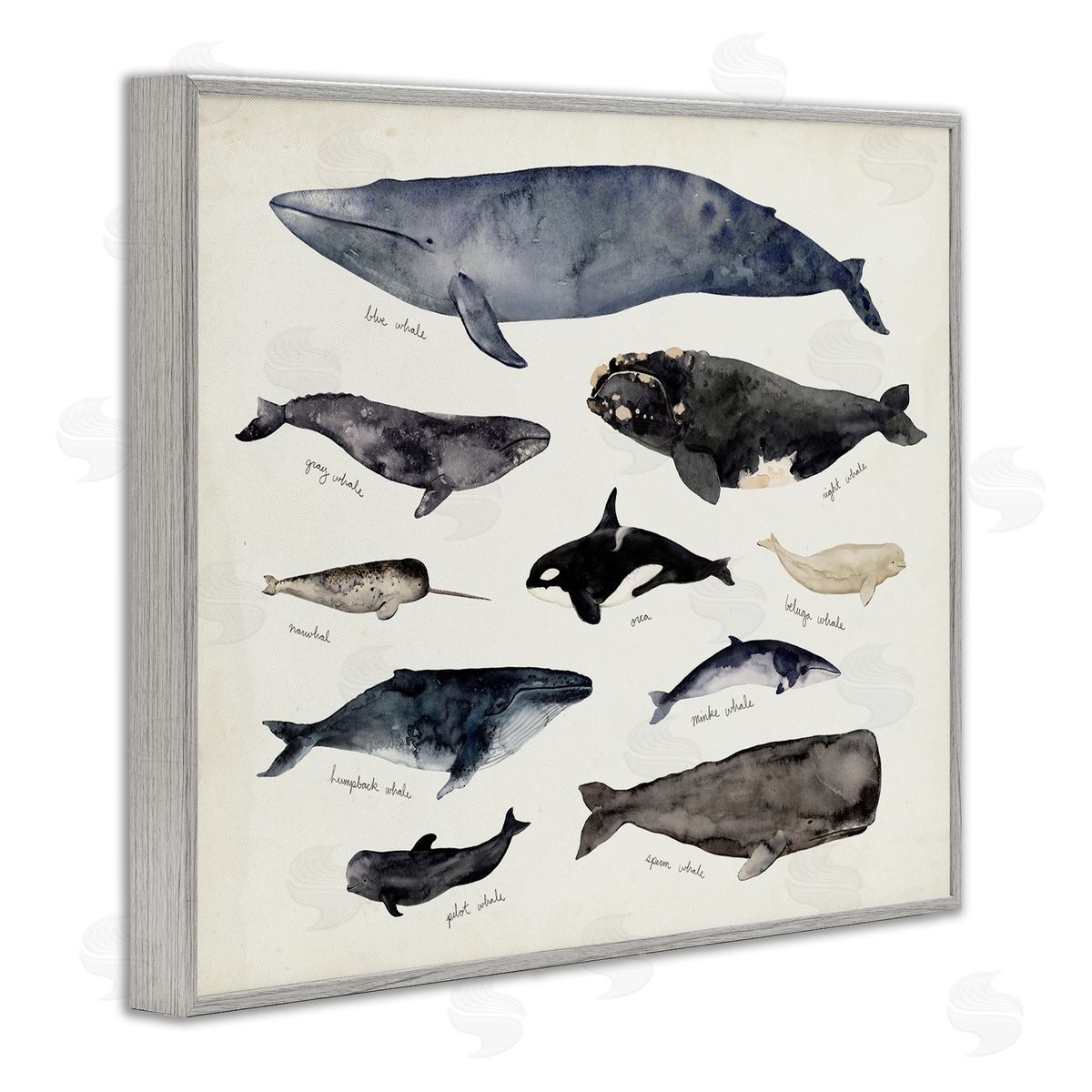 Victoria Barnes Vintage Nautical Chart of Whales Ocean Life  Gray Framed Giclee Wall Art