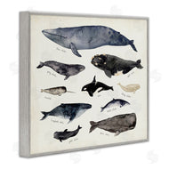 Victoria Barnes | Vintage Nautical Chart of Whales Ocean Life