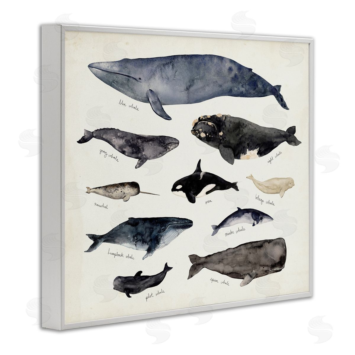 Victoria Barnes Vintage Nautical Chart of Whales Ocean Life  White Framed Giclee Wall Art
