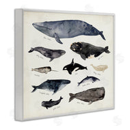 Victoria Barnes | Vintage Nautical Chart of Whales Ocean Life