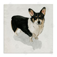 Grace Popp | Corgi Pet Dog Portrait Soft Neutral Shadow