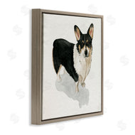 Grace Popp | Corgi Pet Dog Portrait Soft Neutral Shadow