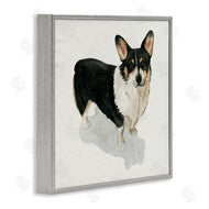Grace Popp | Corgi Pet Dog Portrait Soft Neutral Shadow