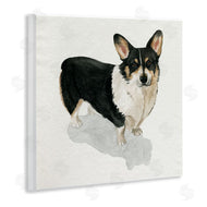 Grace Popp | Corgi Pet Dog Portrait Soft Neutral Shadow