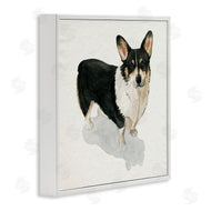 Grace Popp | Corgi Pet Dog Portrait Soft Neutral Shadow