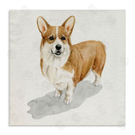 Grace Popp | Happy Corgi Dog Pet Portrait Neutral Shadow