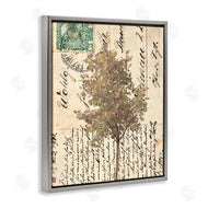 Alonzo Saunders | Country Vintage Postal Card Autumn Tree