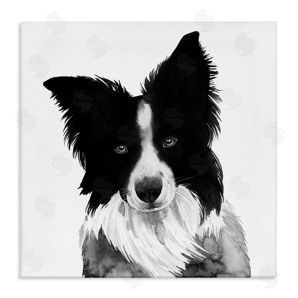 Grace Popp Border Collie Pet Dog Portrait Black White Canvas Wall Art