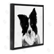 Grace Popp | Border Collie Pet Dog Portrait Black White