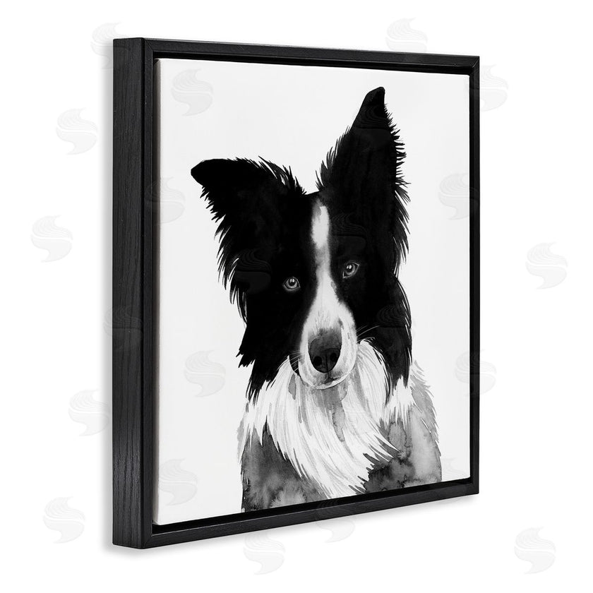 Grace Popp | Border Collie Pet Dog Portrait Black White