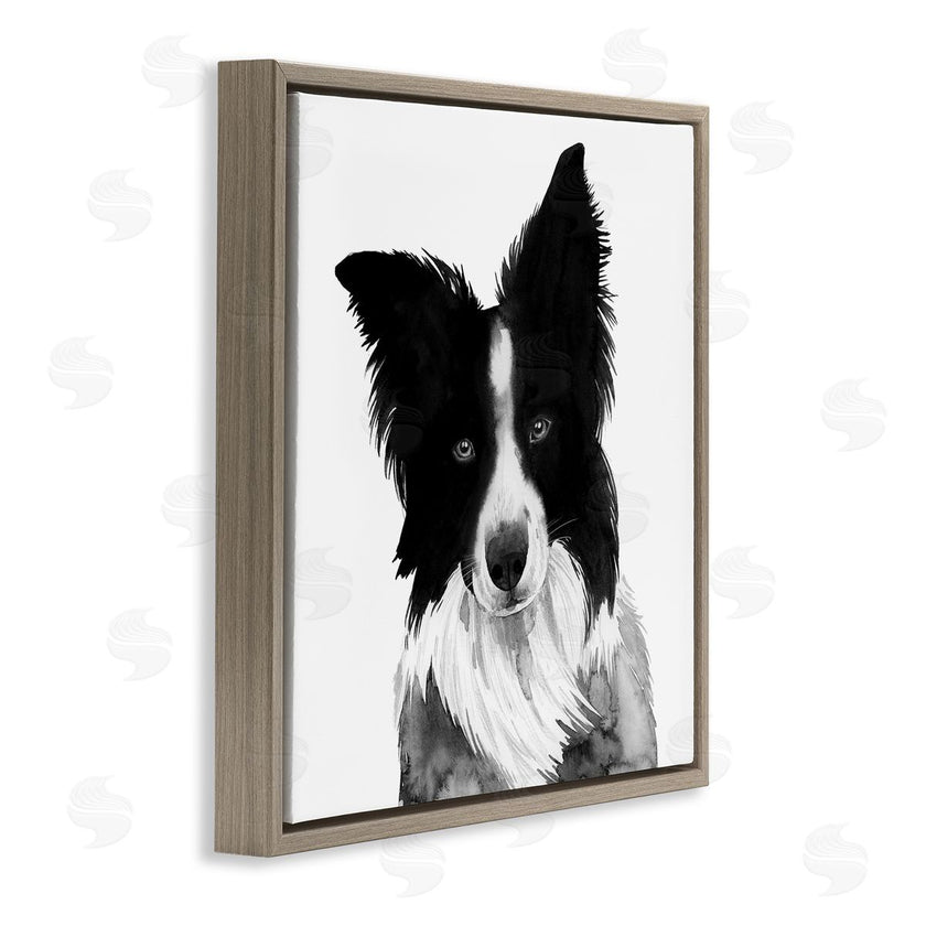 Grace Popp | Border Collie Pet Dog Portrait Black White