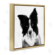 Grace Popp | Border Collie Pet Dog Portrait Black White